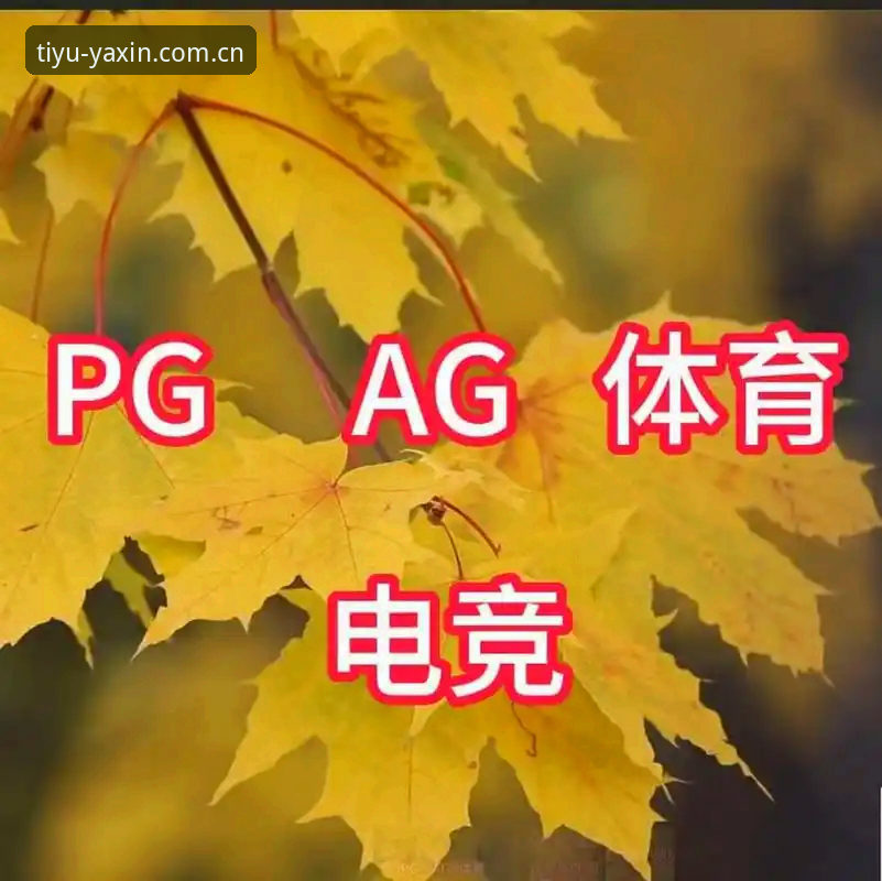亚新体育下载 揭秘亚新体育下载:安全性和新功能深度解析