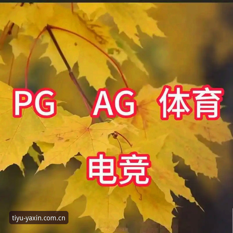 亚新综合体育实战体验详解