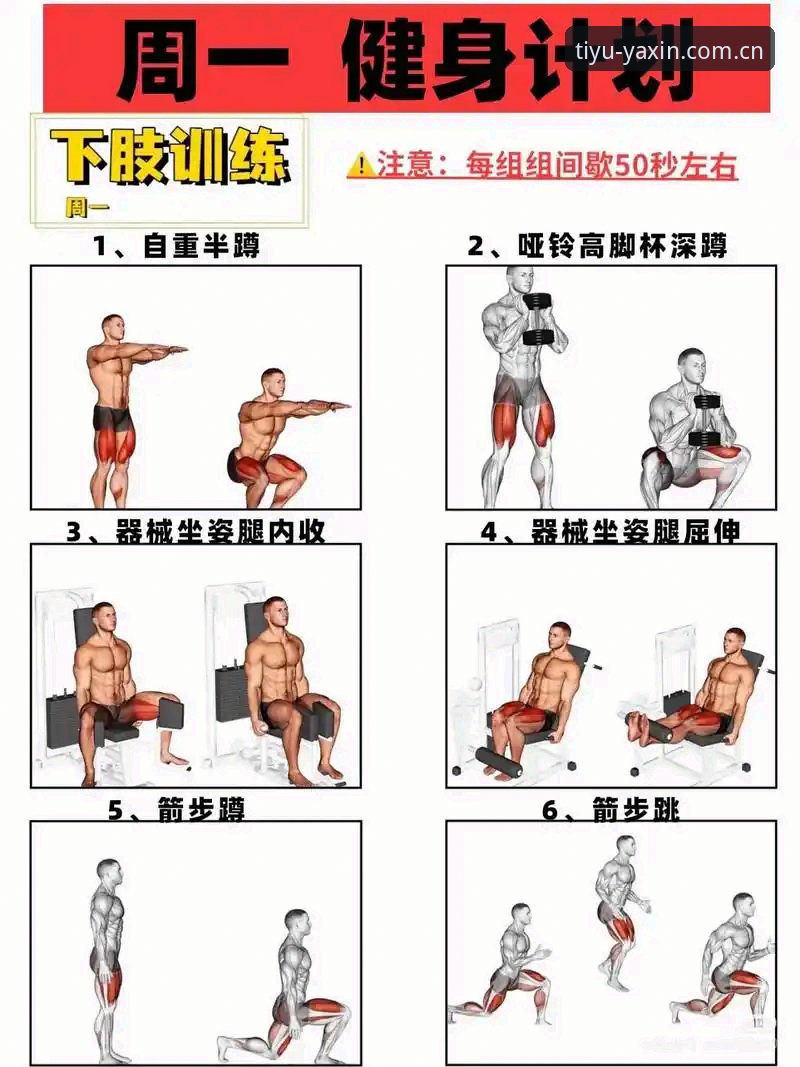 亚新综合体育新手入门：5个关键步骤助你快速上手